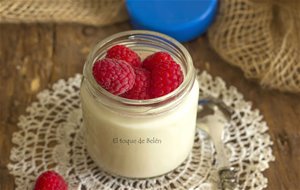 Yogur De Soja Con Yogurtera Y Consejos
