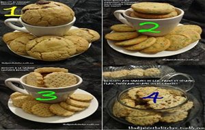 1, 2, 3, 4 Biscuits / 1, 2, 3, 4 Cookies / 1, 2, 3, 4 Galletas
