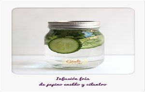 Infusión Fría   De Pepino Eneldo Y Cilantro Receta
