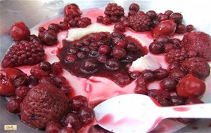 Panna Cotta Con Frutos Rojos
