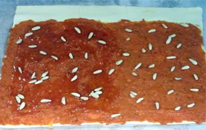 Caracolas De Sobrasada
