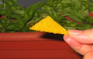 Doritos Caseros
