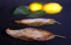 Paparajotes - Hojas De Limon Fritas - Follas De Limon
