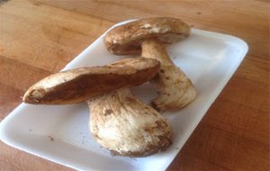 
salsa De Boletus
