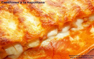 
canelones A La Napolitana
