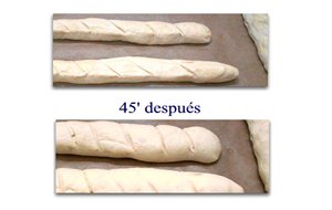 Baguettes
