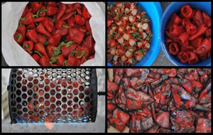 De Navarra Al Plato: Pimientos Del Piquillo ++
