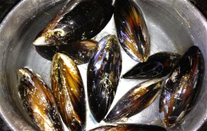 Manera De Limpiar Y Cocinar Los Mejillones 
