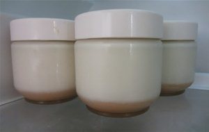 Yogur De Dulce De Leche ( Dos Versiones)
