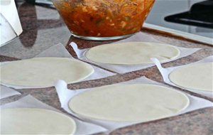 Recetas De Empanadillas Con Thermomix, Ideas Y Consejos