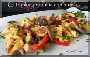 Clitopilus Prunulus Con Huevos
