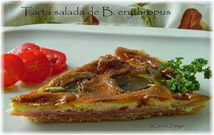 Tarta Salada De Boletus Erythropus
