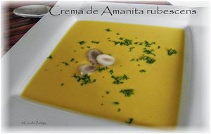 Crema De Amanita Rubescens
