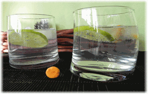 Gin Tonic Aromatizado Con C. Cibarius