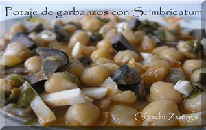 Potaje De Garbanzos Con S. Imbricatum
