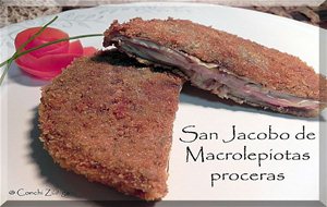 San Jacobo De Macrolepiotas
