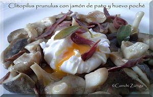 Clitopilus Prunulus Con Jamón De Pato Y Huevo Poché
