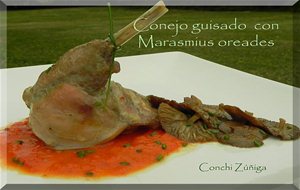 Conejo Guisado Con Senderuelas
