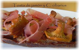 Tosta De Jamón Y C. Cibarius
