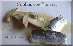 Xoubas   Con  Boletus
