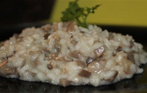 Rissotto De Setas 
