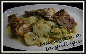 Maragota A La Gallega
