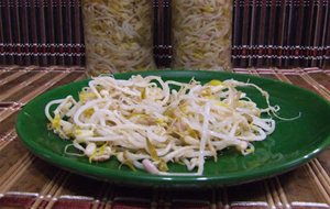 Brotes De Soja, Germinados Y Germinadora.
