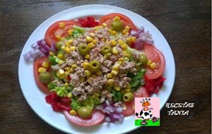 Ensalada Mixta
