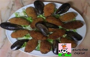 Mejillones Tigre
