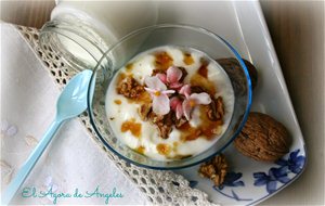 Yogur Griego Casero
