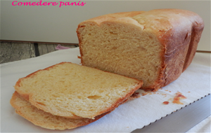 Brioche En Panificadora
