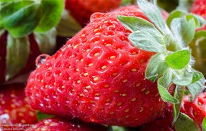 Ensalada Con Queso Y Vinagreta De Fresas
