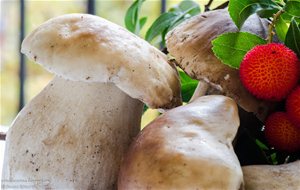 Cintas De Pasta Con Boletus
