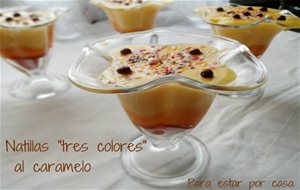 Natillas "tres Colores" Al Caramelo
