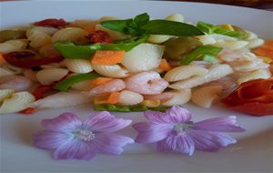 Ensalada De Pasta Tiburón Con Salsa De Yogur
