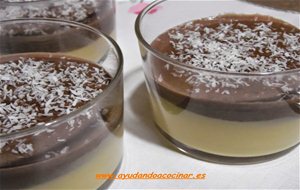 Natillas De Soja Dos Sabores. (chocolate Y Vainilla)
