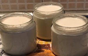 Yogur De Avena Y Naranja (thermomix)
