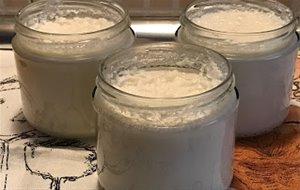 Yogur De Coco (thermomix)
