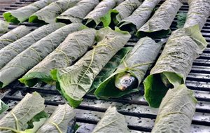 Sardinas Asadas Envueltas En Hojas De Parra&#8230;, Primitivo O Gourmet?
