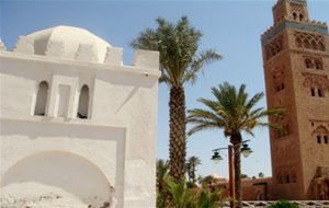 Viaje A Marrakech (marruecos)
