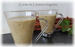 Crema De Lanmaoa Fragrans
