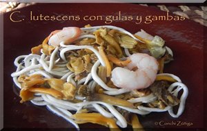 Cantharellus Lutescens Con Gulas Y Gambas
