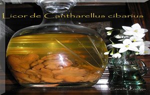 Licor De Cantharellus Cibarius
