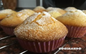 Magdalenas Caseras Tradicionales
