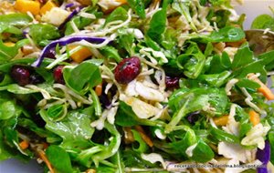 Ensalada Con Queso, Nueces Y Arándanos
