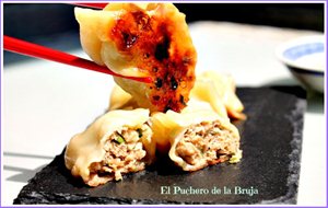 Gyoza (empanadillas Chinas)
