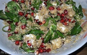 Ensalada De Quinoa, Queso De Cabra Y Granada
