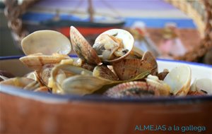 Almejas A La Gallega
