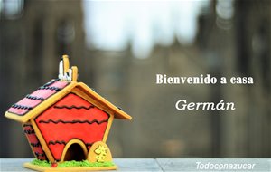 Casita De Snoopy Para Germán
