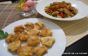 460&#176;receta Wonton Frito De Cerdo Sin Gluten Con Ensalada De Pollo, Verduras Y Sésamo 
